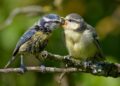 Unlocking the Secrets of Effective Parenting: Tips for Every Stage
