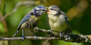 Unlocking the Secrets of Effective Parenting: Tips for Every Stage